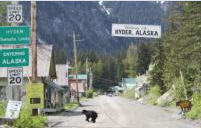 Mainstreet Hyder, Alaska USA with crossing bear